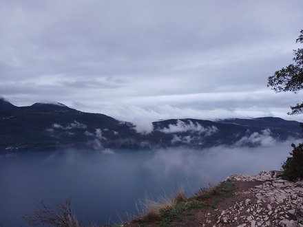 Dans la brume