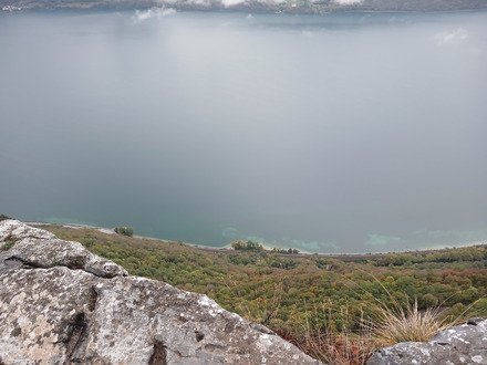 Dans la brume