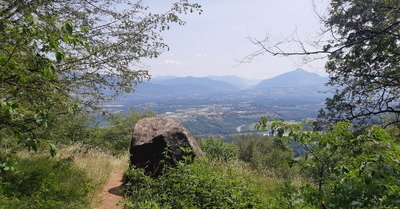 ...et cours &agrave; l'ombre 