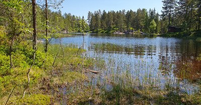 Kj&oslash;sterudjuvet : Remonter un canyon au dessus de Drammen