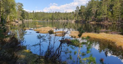 Les lacs de Sognsvann 