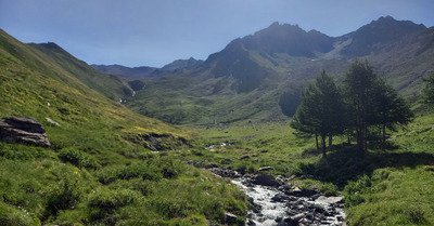 Tete de la Cula (3121)