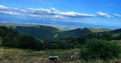 Une parenth&egrave;se ressour&ccedil;ante !