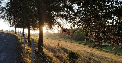 Grasse Matin&eacute;e du dimanche matin ;)