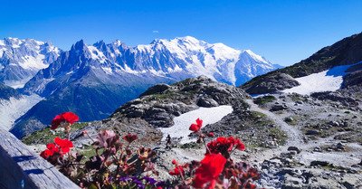 Tour du Massif des Aiguilles Rouges en boucle de 4 jours ⛰️☀️? 