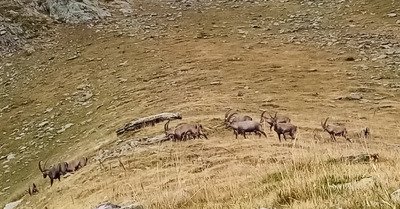 Nuit d&eacute;paysante entre le lac du Venetier et la cime de la Jasse!