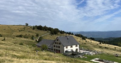 Retour aux basiques, Endurance Trail