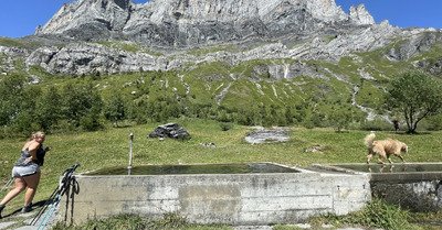 Les ay&egrave;res d&rsquo;en haut 