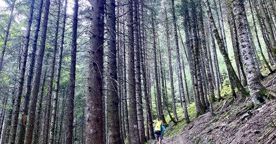 Canyon de l&rsquo;Eau Froide ???