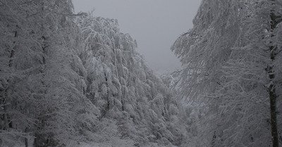 Blanc Vercors ! un parcours en raquette