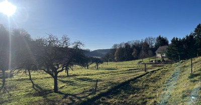 Balade chez les voisins !