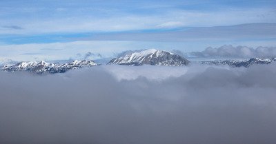 Sortir du brouillard pour d&eacute;couvrir le vol des vautours