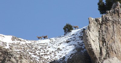  Petite incursion sur les hauts plateaux du Vercors
