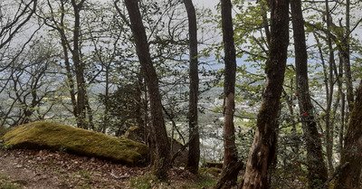 On ressort les baskets