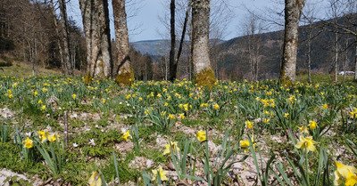 Petit weekend vosgien!