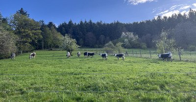 Du c&ocirc;t&eacute; de Wasserbourg 