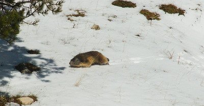Escapade sur les hauts plateaux du Vercors