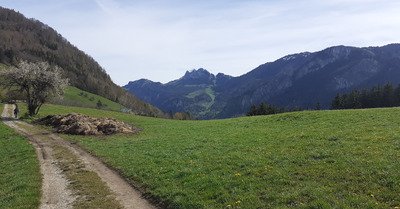 Crapahut entre bas chablais et brevon