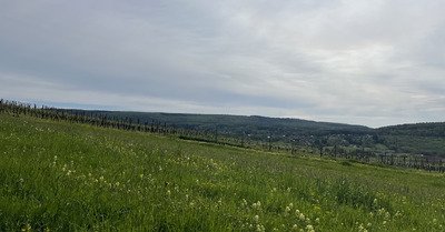 Tu le vois le bonheur&nbsp;?