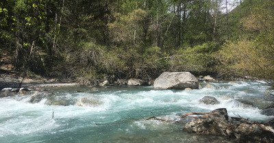 Jour f&eacute;ri&eacute; &agrave; Fressini&egrave;res