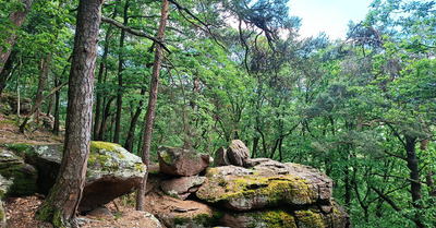 Escalade au vieu Gueberschwihr