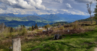 Promenade sur les Voirons