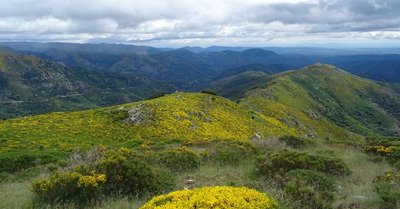 Trail des monts d'Ard&egrave;che