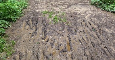 Bain de boue chez les helv&egrave;tes 