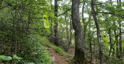 Sur le tracé de l'Ecotrail de Genève...