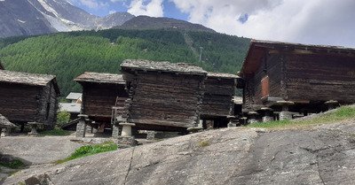 Week-end entra&icirc;nement trail