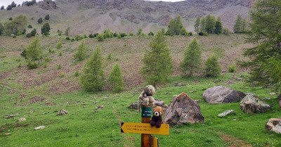 Juinvril au refuge et au col de la Pare 