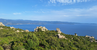 Trail sur les crêtes d'Ajaccio