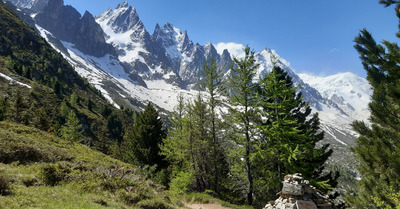 Promenade sous les aiguilles 