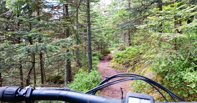 Sortie VTT qui a fini en cueillette de champignon 