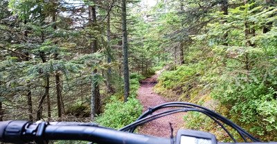 Sortie VTT qui a fini en cueillette de champignon 