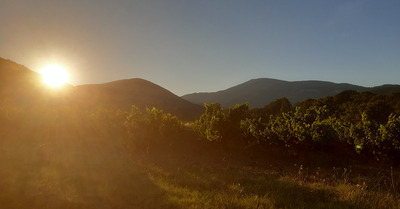 Sous le Ventoux