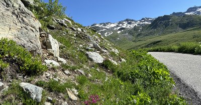 et revoil&agrave; la saison verte🌸🌼🌿