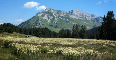 Plateau de Beauregard pour trail facile