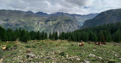 Aiguille d'Orcieres, ou l'arrivée précoce de l'automne 