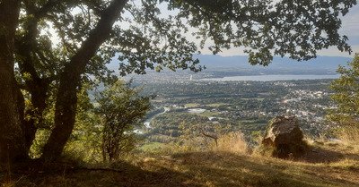 La lumi&egrave;re oblique...