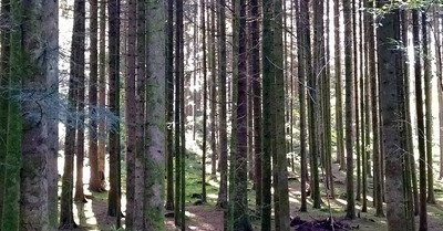 Rando VTT, le dernier jour de l'&eacute;t&eacute;?