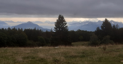 Le trail, valeur refuge