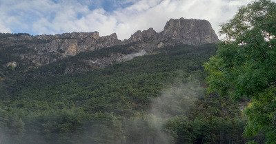 Retour express &agrave; la t&ecirc;te de Louis XVI