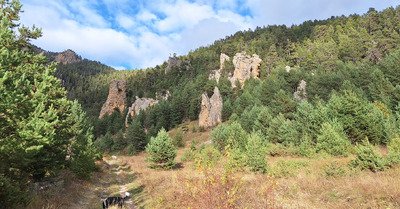 Rando post bricolage 