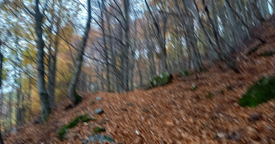 Trempee à la boucle du col de la Gardette 