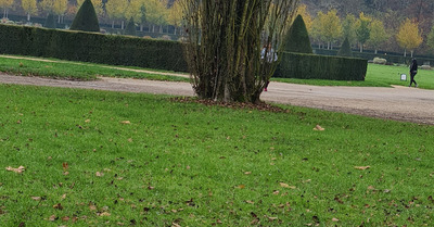 Parc de Sceaux