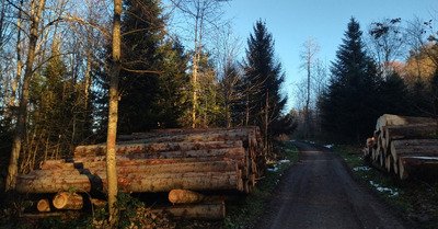 En remontant la piste de luge