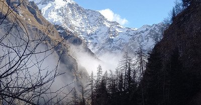 Sur la trace des pr&eacute;dateurs...