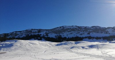Ski de fond au plateau