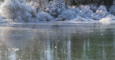 Errance au bord de la glace